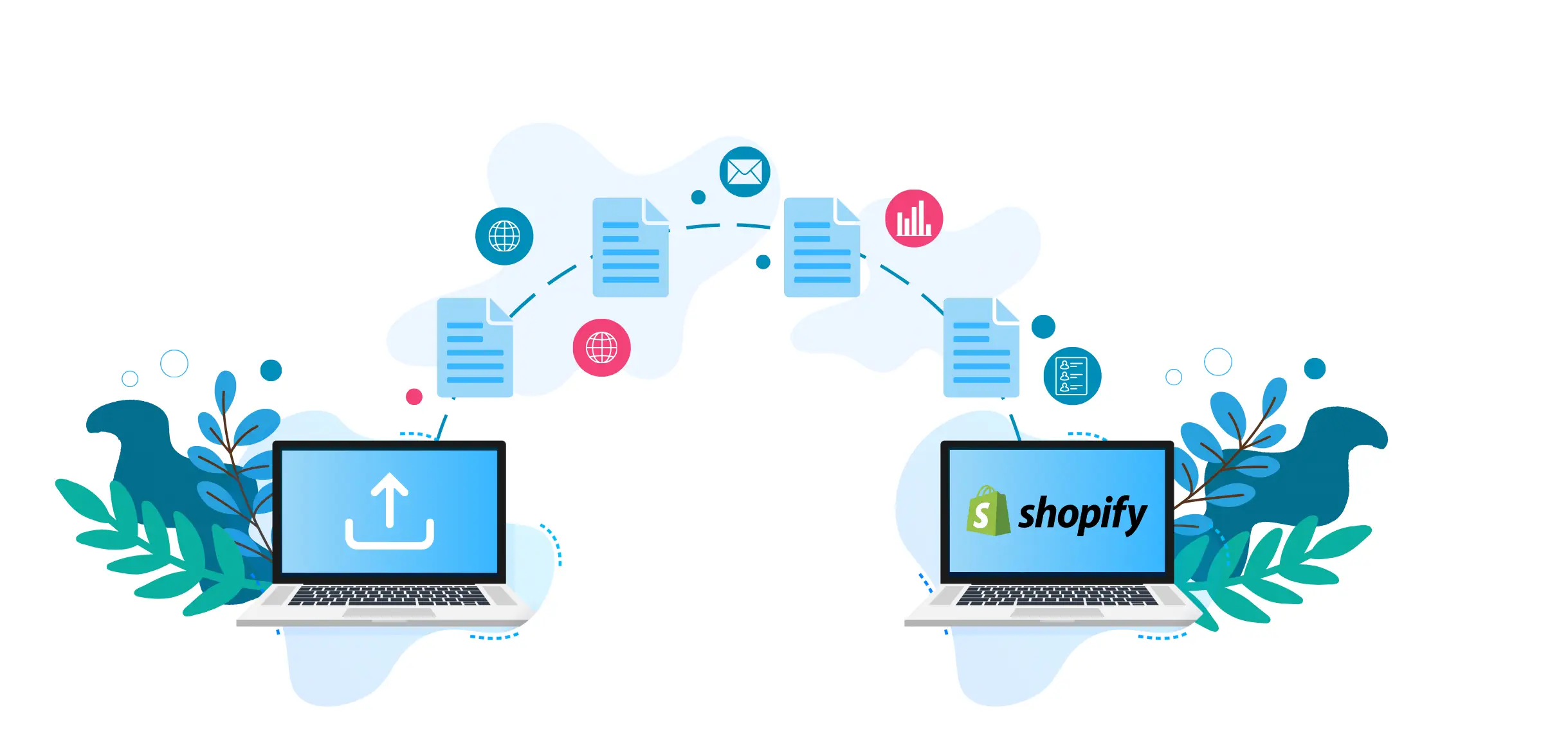 Migration to Shopify Plus